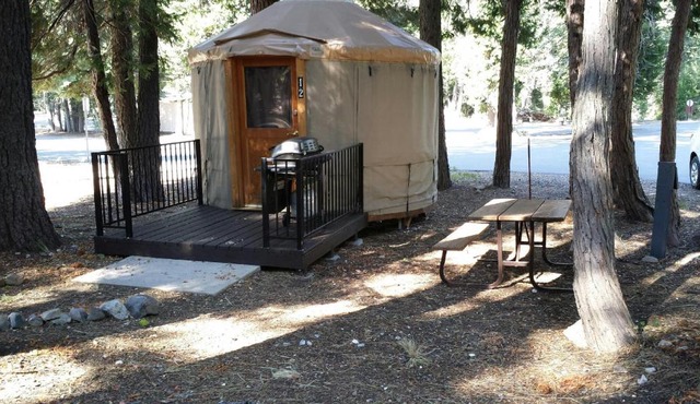 Snowflower Camping Resort 12 ft. Yurt 9