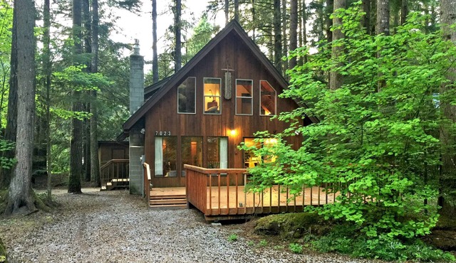 Snowline Cabin 35 - A pet-friendly country cabin, Now has air conditioning!