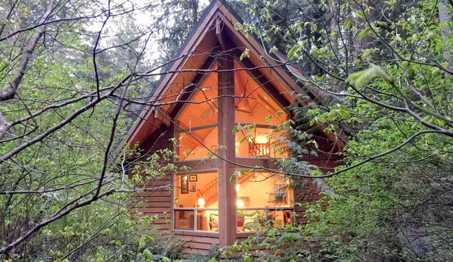 Snowline Cabin #4 - Pet-friendly cedar cabin with a private outdoor hot tub!