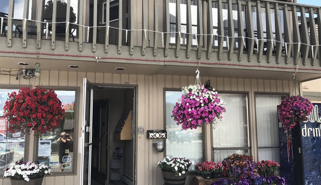 Snowshoe Motel