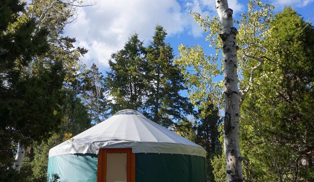 Snowshoe or ski and relax by a warm wood stove while playing games!