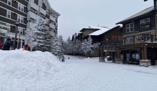 Snowshoe Village SLEEPS 6- Rimfire Lodge, Ski-In/Out, 1-Bedroom "PLUS" Condo