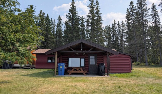 Snowy Owl: A lakefront log cabin at Clearwater Lake for the whole family!