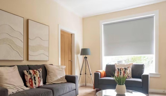 Snug Modern Apartment in Glasgow