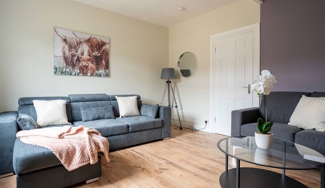 Snug Modern Home in Dunfermline