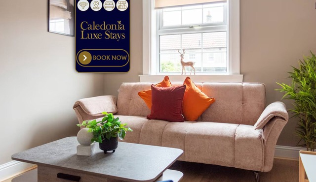 Snug Modern Home in Airth