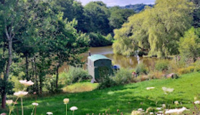 Snug secluded lakeside shepherds hut for fishing, or just relaxing.