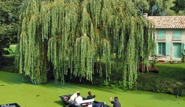 SO'LODGE Hôtel Niort A83