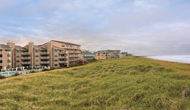 So much to enjoy . So little Time !