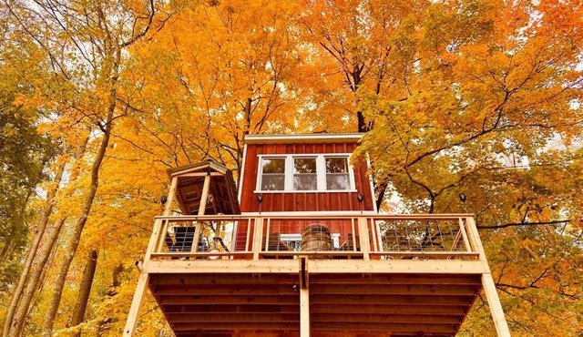 So Secluded and Magical with Easy Access and Pet Friendly
