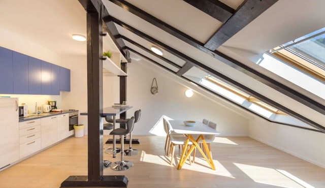 SOFIA One bedroom loft apartment 4pax