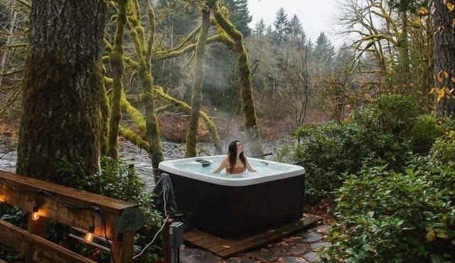 Sol Duc Serenity - River Front- Hot Tub - Olympic National Park