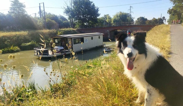 SOLAR BOAT ON THE GARONNE CANAL departing from CASTELSARRASIN.