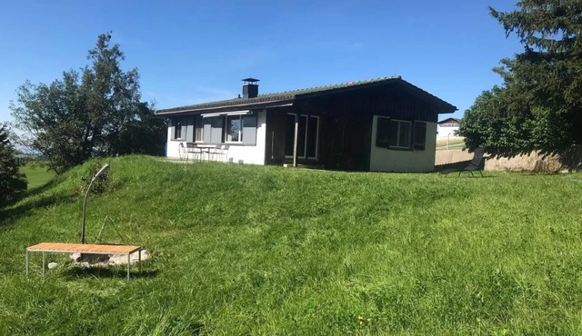 Soldanella by Interhome