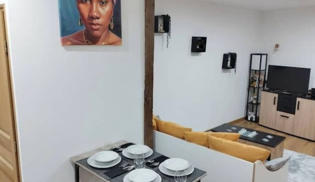 Soleil Sucré T2 Narbonne historic center