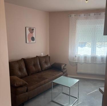Solesmes splendide appartement