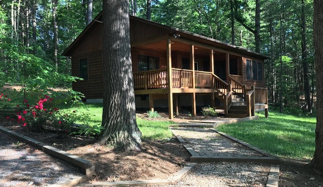 "Solitude" Secluded 1 BR Cabin Nestled in the Woods w/Hot Tub near Luray, VA.