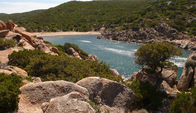 Sollacaro: House /Villa - Sollacaro