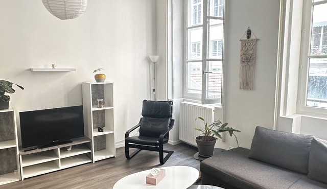 Solo:apartment for Daily or Weekly Rent Apartment for Rent in the Heart of Lyon