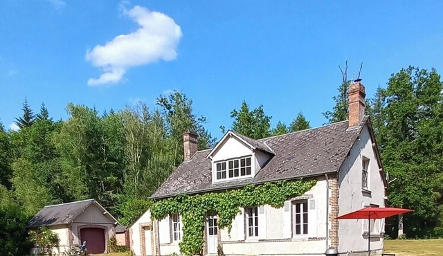 Sologne, Gîte 10 personnes au coeur de la forêt , 2h de Paris
