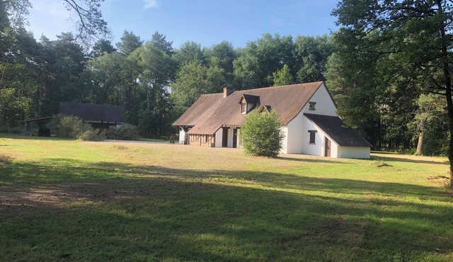 Sologne, large villa amid woods and ponds