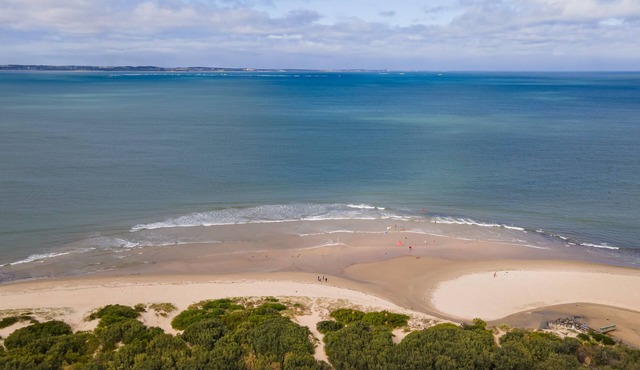 Somers Dunescape across from the beach