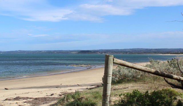 Somers from the treetops - 200m to the beach