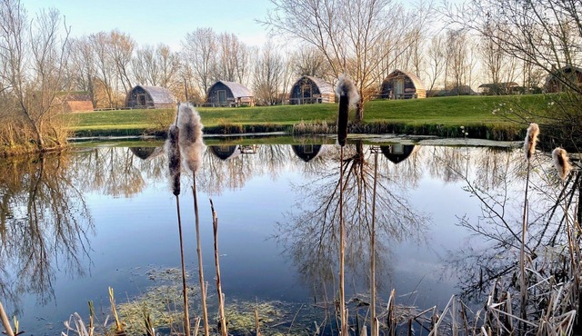 Somerset glamping pod with access to adventure activities.