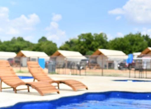 Son's Rio Cibolo Glamping Cabin #B Poolside Cabins with Hot Tubs, Paddle Boarding, and More!