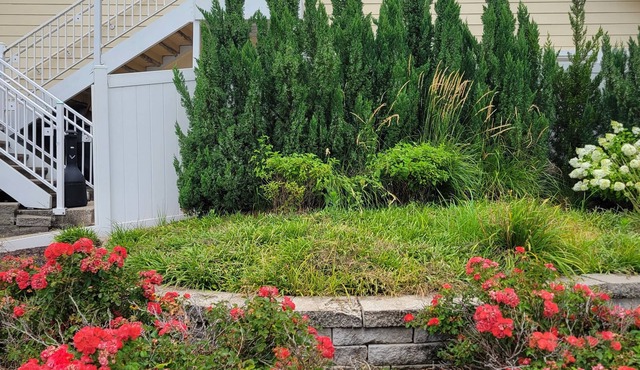 Sonesta ES Suites St. Louis - Chesterfield