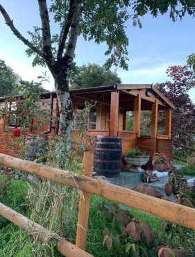 Songbird Lodge - Near brew pub/10 mins from Snowdon
