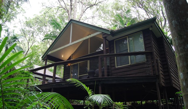 Songbirds Rainforest Retreat