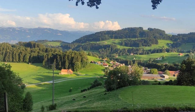 Sonniges Studio mit Aussicht