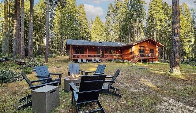 Sonoma Coast Timber Cove Cabin Retreat, Sonoma Coast Timber Cove 3b/2.5 Cabin In The Redwoods