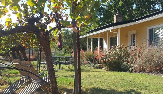 Sonoma Vineyard Cottage - enjoy wine country life. Peaceful yet central locale!
