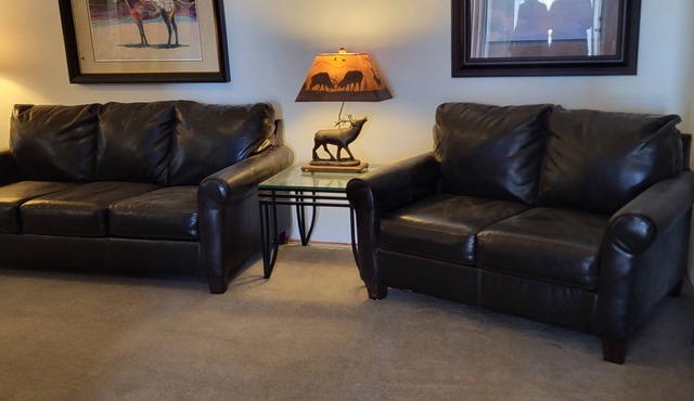 Soothing 1 level 4-bedroom duplex with WiFi in Laramie