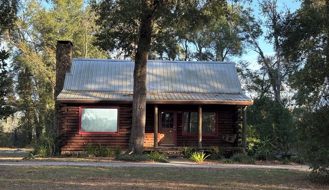 Soothing 3-bedroom two-story log cabin with AC in charming Bushnell