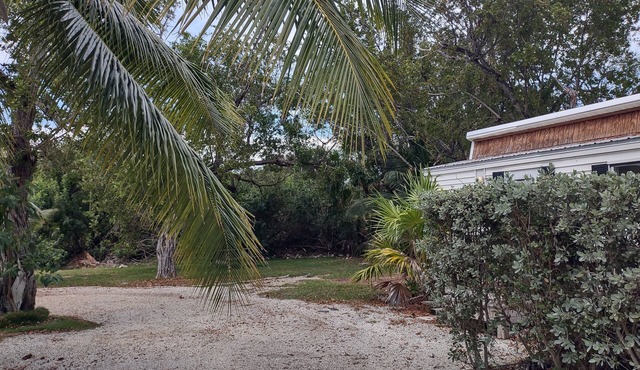 Soothing cabin in Sugarloaf Key