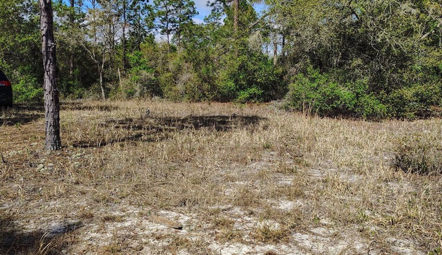 Soothing campground in Interlachen for a peaceful getaway