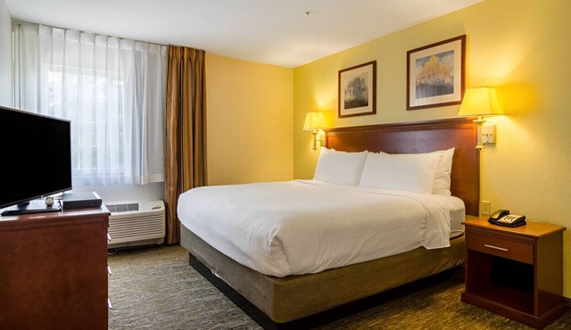 Sophisticated Room w/ Cozy Ambiance! Pet-Friendly