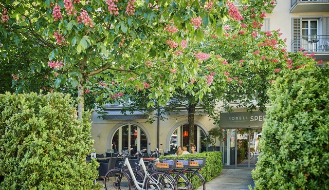 Sorell Boutique-Hotel Speer Rapperswil