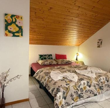 Soso Studio Cosy