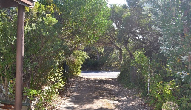 Sound Of The Surf - pet friendly