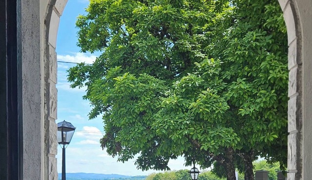 Source de la Vallée