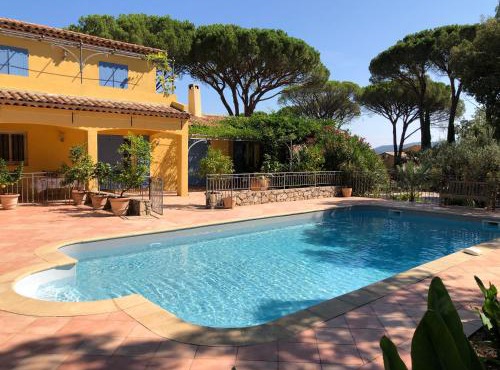 Sous les pins parasols