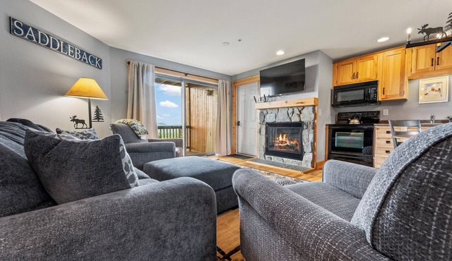 South Branch Condo 21-2 - Nice ski-in ski-out condo at Saddleback