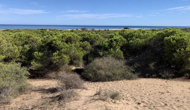 South facing Apartment with Sun Terrace 10 minute walk to a blue flag beach.