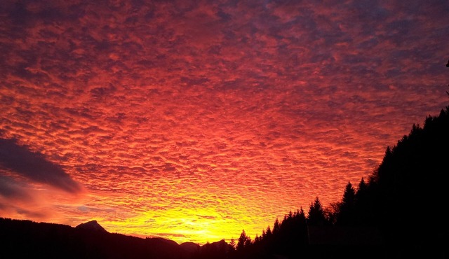 South-facing 4-room apartment with panoramic view of Mt Blanc