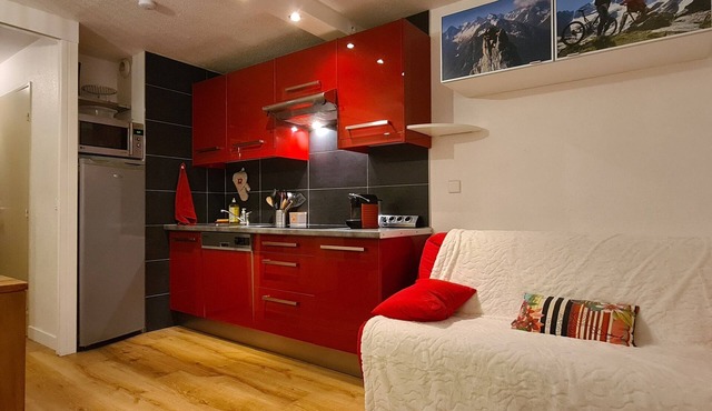 South-facing apartment on slopes! The 2 ALPES MEIJE 01 848628