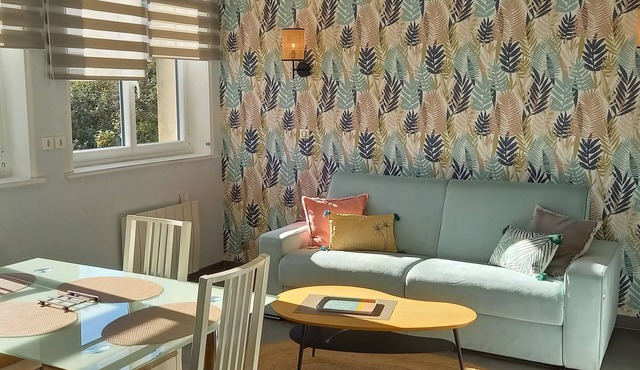 South facing cottage, cocooning 40 m from the sea